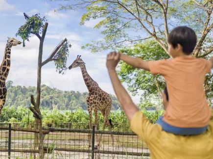 新加坡動物園加入《優獸大都會》巡邏隊