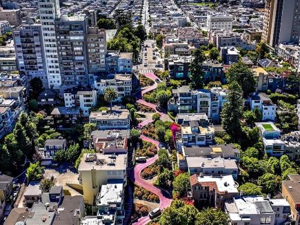 Beautiful sea of flowers at San Francisco's Lombard Street in all seasons