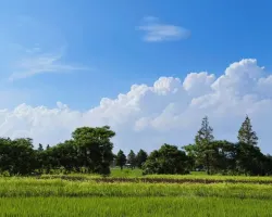 Hidden cloud-watching gem in Chongming, a soothing must-visit