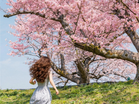 春夏出遊提案：即睇當季必去好去處