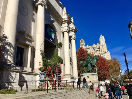 American Museum of Natural History: New York’s Treasure Trove