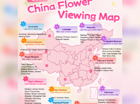 China in bloom: your 2026 spring map