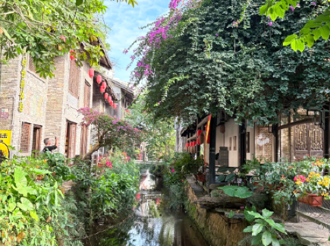 Qingming spring escapes: unlock Shenzhen's hidden gems