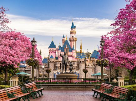 Disney 70th Anniversary Celebration, Classic Returns + Limited Benefits Await You