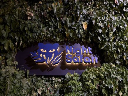Jungle by moonlight: explore Mandai's Night Safari