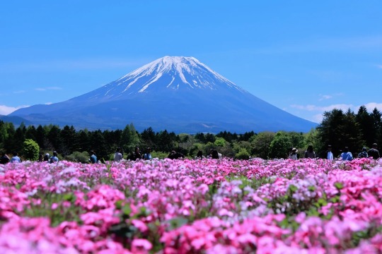 Tokyo travel guide: neon nights and nature escapes