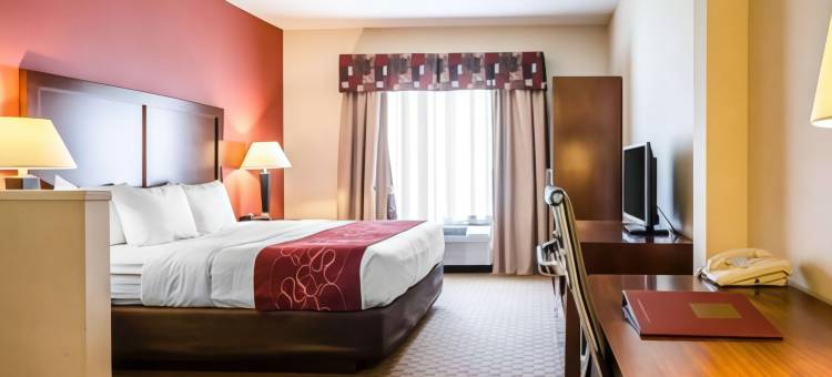 普雷斯顿斯堡西舒适套房酒店(Comfort Suites Prestonsburg West)图片