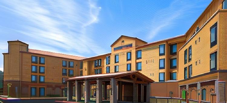 阿塔斯卡德罗SpringHill Suites酒店(SpringHill Suites Paso Robles Atascadero)图片