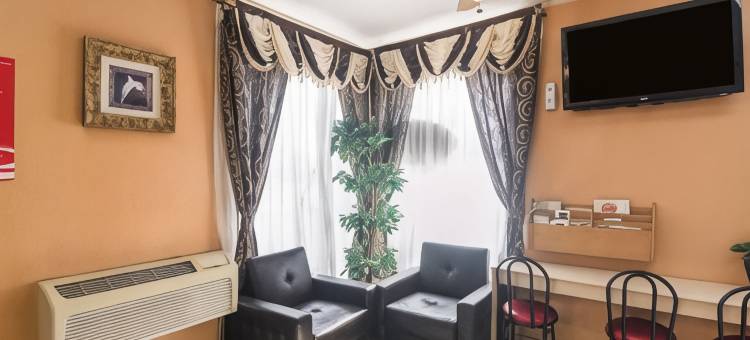 达尔哈特高速公路54号-287号伊克诺旅馆(Econo Lodge Dalhart Hwy 54 - Hwy 287)图片