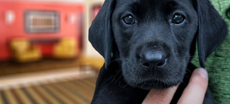 美洲长住酒店 - 明尼阿波利斯机场 - 伊根(Studio 6 Extended Stay Minneapolis Airport Eagan MN)图片