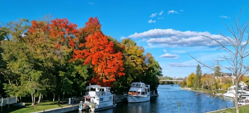 三岛汽车旅馆(Three Island Motel)图片
