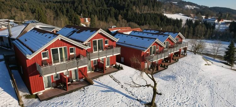 巴亚绪瓦尔德酒店(Hotel Bayerischer Wald)图片