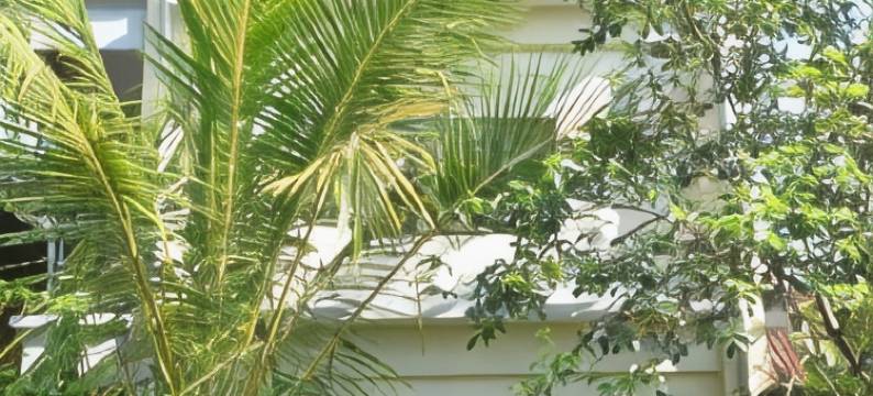 维加亚旅馆(Wijaya Guest House Ubud)图片