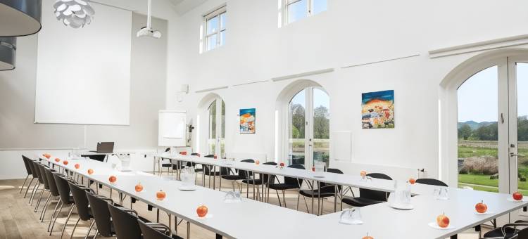 哈拉德斯卡辛那图尔酒店及会议中心(Haraldskær Sinatur Hotel & Konference)图片