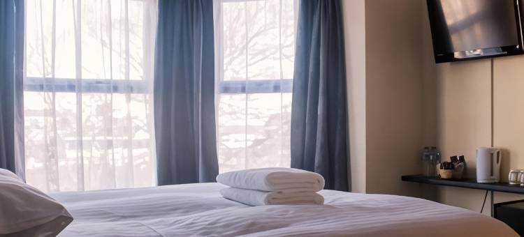 韦尔斯利公园酒店(Wellesley Park Hotel)图片