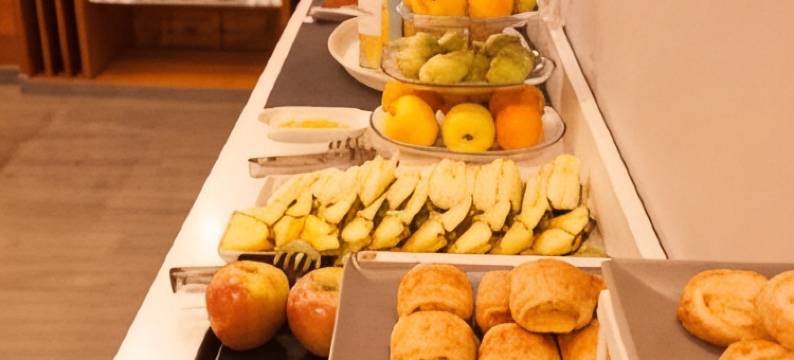 特尔都灵广场酒店塞尔科特酒店(Hotel Torico Plaza)图片