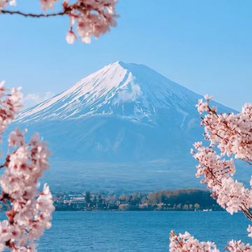 日本大阪+奈良+京都+东京7日6晚跟团游