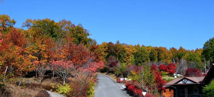 八岳山高原度假村(YATSUGATAKE KOGEN RESORT)图片