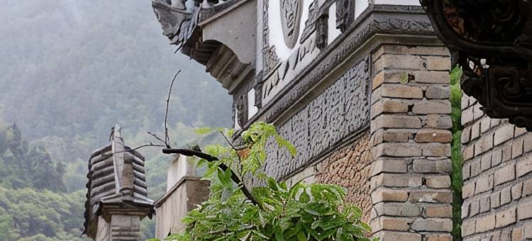 松阳松荫水岸民宿图片