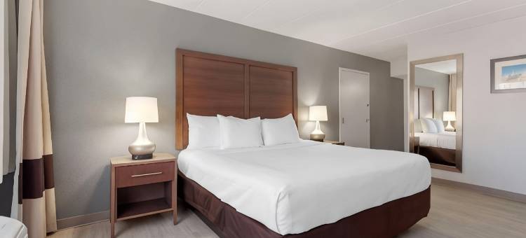 克拉丽奥酒店及套房-BWI机场北(Clarion Hotel & Suites BWI Airport North)图片