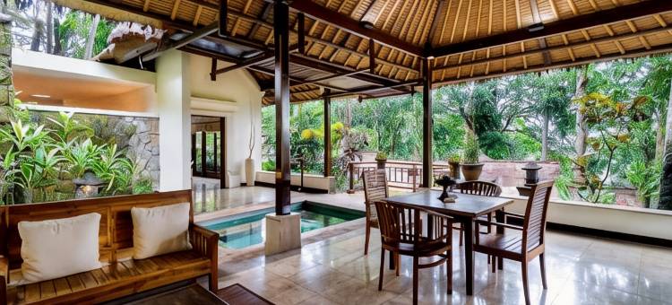 那图拉自然水疗度假酒店(Natura Villa Ubud Bali)图片