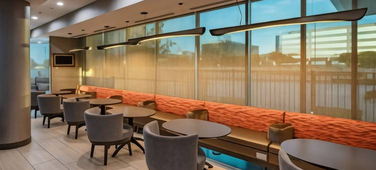 达拉斯中央高速公路SpringHill Suites酒店(SpringHill Suites Dallas Central Expressway)图片
