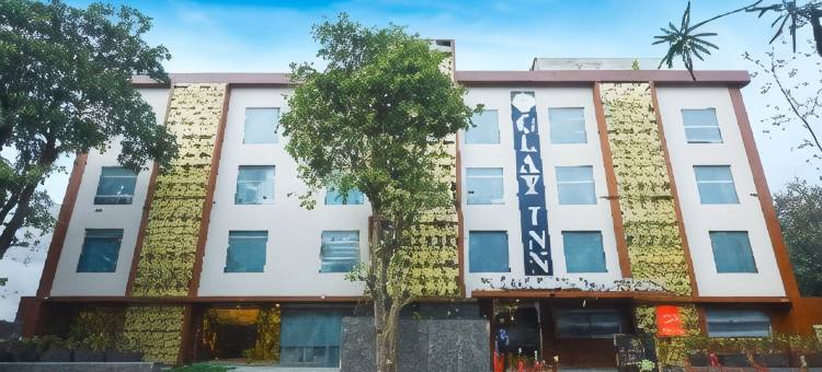 古尔冈克莱因酒店(Clay Inn Hotel Gurugram)图片
