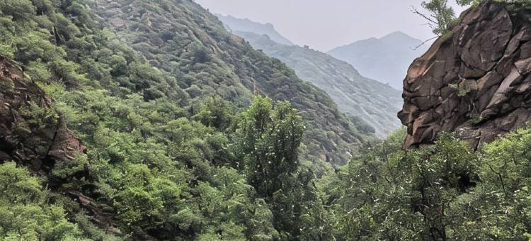 锦绣宾馆图片