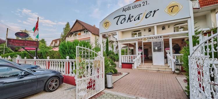 托卡耶尔康体酒店(Tokajer Wellness Hotel)图片