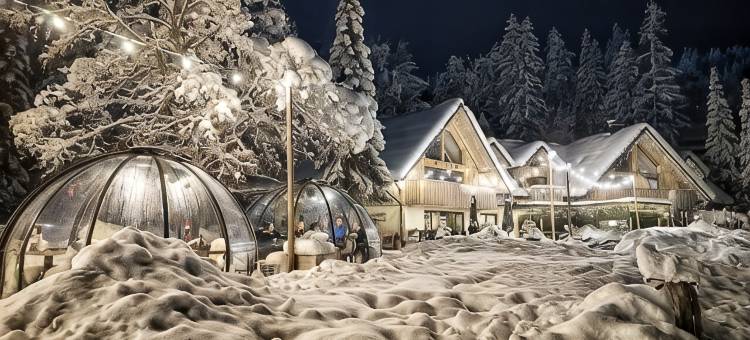 JASNA NATUR度假村(Jasna Natur Resort by the Lake)图片