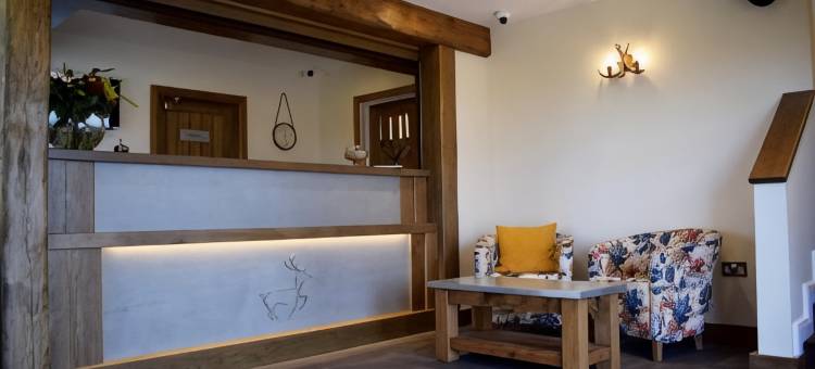 怀特哈特住宿加早餐旅馆(The White Hart Inn)图片