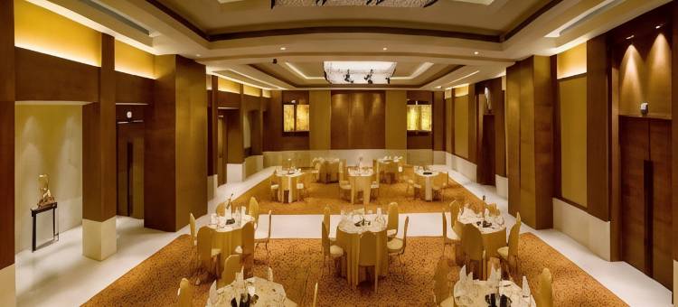 拉利特新德里(The Lalit New Delhi)图片