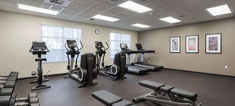 圣马特奥福斯特城TownePlace Suites酒店(TownePlace Suites San Mateo Foster City)图片
