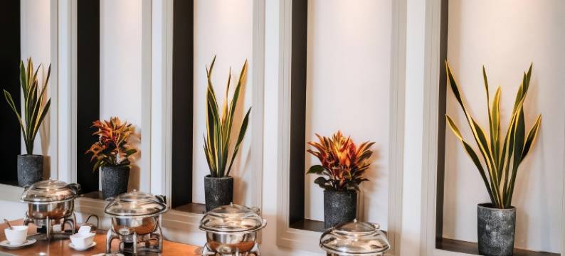 麦克花园度假酒店(Mike Garden Resort)图片