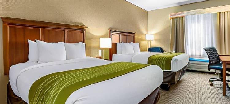 达文波特四城舒适套房酒店(Comfort Inn & Suites Davenport - Quad Cities)图片
