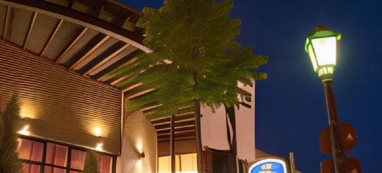 康来就贝斯特韦斯特优质酒店(Best Western Plus Konrad Zuse Hotel)图片