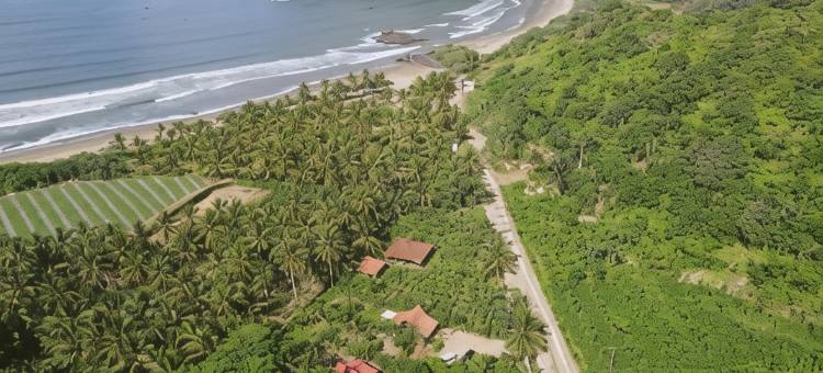 Java Turtle Lodge Meru Betiri图片