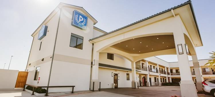 蓝城中心宫殿旅馆(Palace Inn Blue City Centre)图片