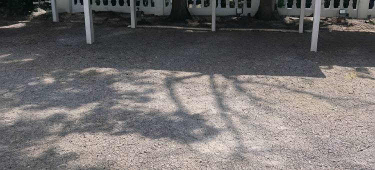 草坪旅馆(The Lawns Guest House)图片