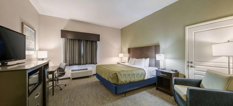 阿德莫尔品质酒店及套房(Quality Inn & Suites)图片