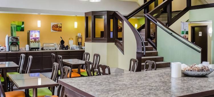 麦地那阿克伦西凯艺套房酒店(Quality Inn & Suites Medina - Akron West)图片