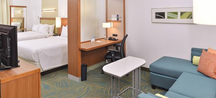 罗利卡瑞SpringHill Suites 酒店(SpringHill Suites Raleigh Cary)图片