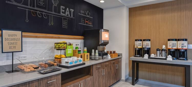 坦帕河景布兰登希尔顿欢朋套房酒店(Hampton Inn & Suites Tampa Riverview Brandon)图片