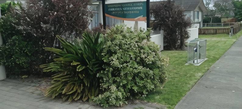 露天马达旅馆(Alfresco Motor Lodge)图片