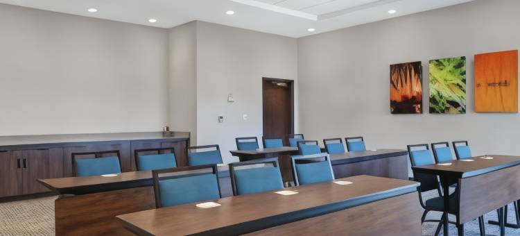 米德尔堡欢朋套房酒店(Hampton Inn & Suites by Hilton Middleburg)图片