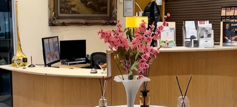 瑞福莱斯约恩酒店(Les Reflets Jaunes)图片