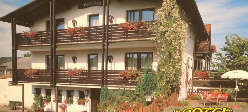 鲍尔特色酒店(Antjes Schmankerlhotel Und Restaurant)图片