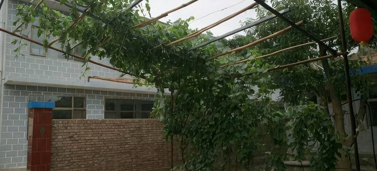 黄河石林王家大院精品民宿图片