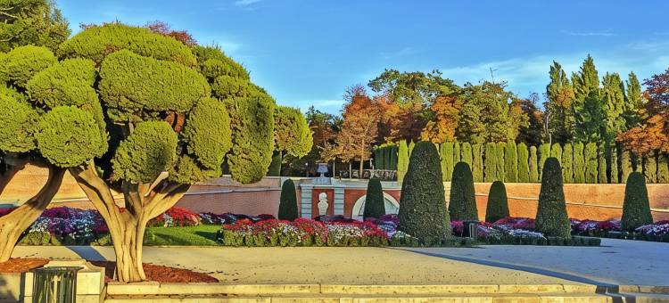 马德里机场赛科特尔酒店(Sercotel Madrid Aeropuerto)图片