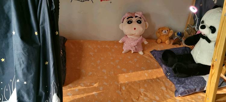 顺子青年公寓(石家庄省博物馆店)图片